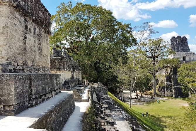 Tikal from Flores or Mundo Maya Airport with transportation, local guide and lunch - Why this Tikal day trip works well