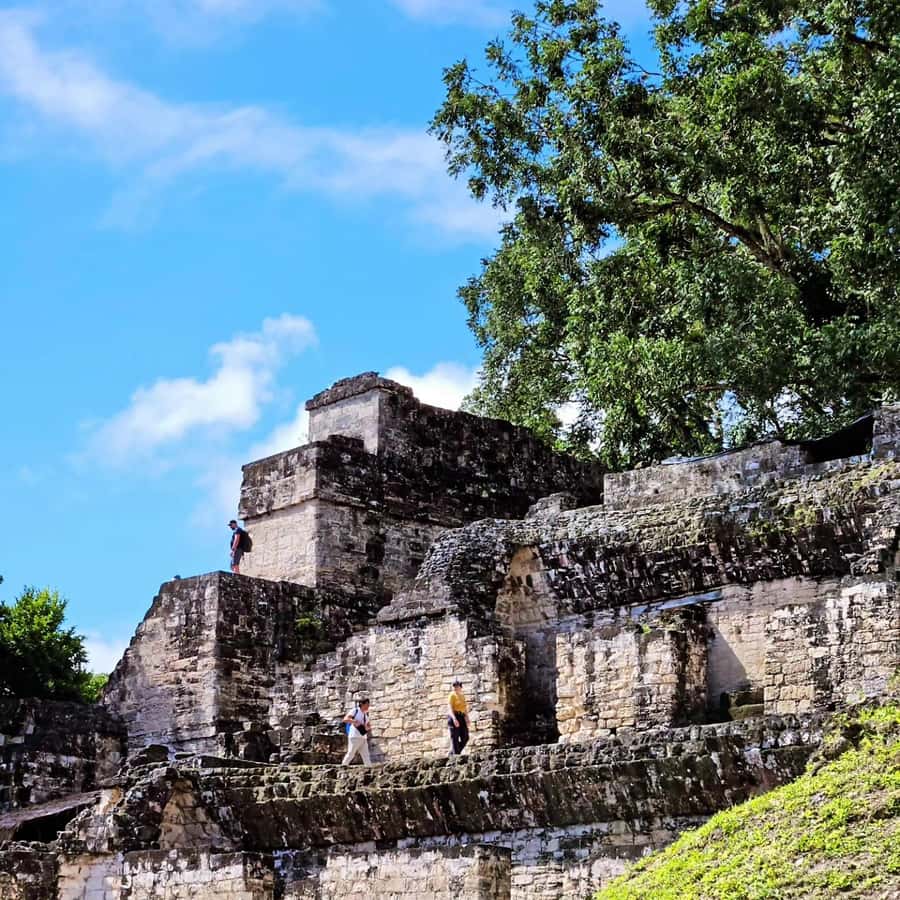 Tikal From Flores: With Transportation Lunch and Local Guide - Why this Tikal day trip works well from Flores