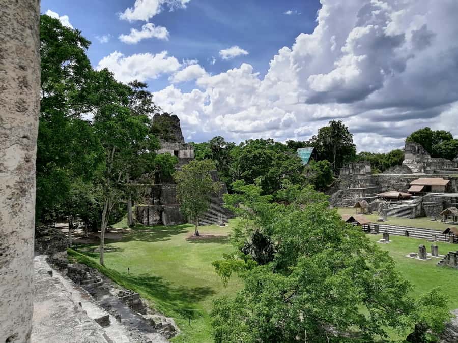Tikal From Flores: With Transportation Lunch and Local Guide - Entering Tikal through forest and ancient roads