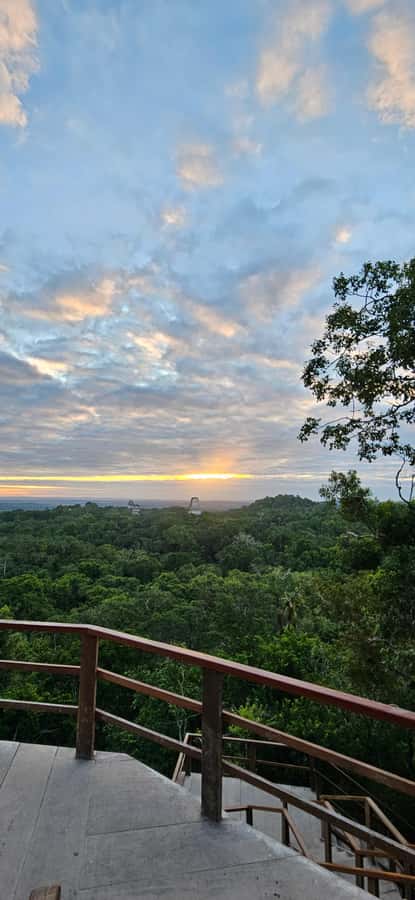 Tikal from Hotel Camino Real El Remate - All Inclusive - Key points at a glance