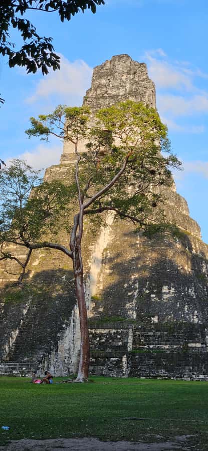 Tikal from Hotel Camino Real El Remate - All Inclusive - Getting oriented at the Tikal Visitor Center