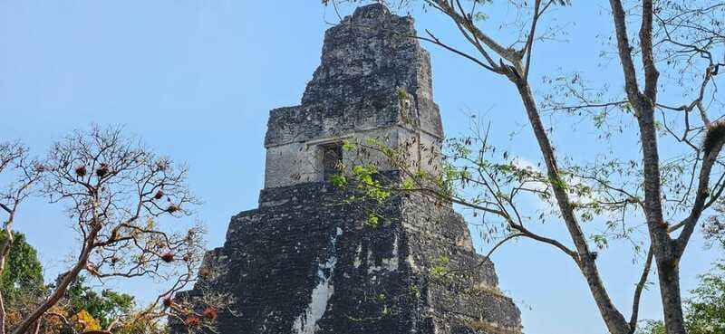 Tikal from Hotel Camino Real El Remate - All Inclusive - A four-hour hike, not a quick ruins stop
