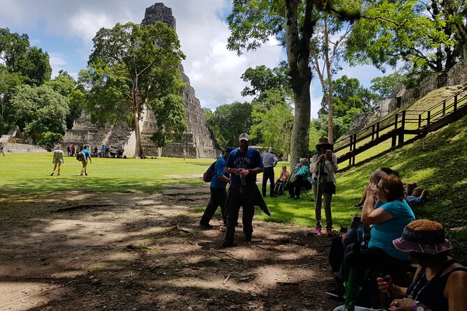 Tikal from Hotels in Flores, Airport, El Remate with Lunch - Lunch Inside Tikal After the Walk