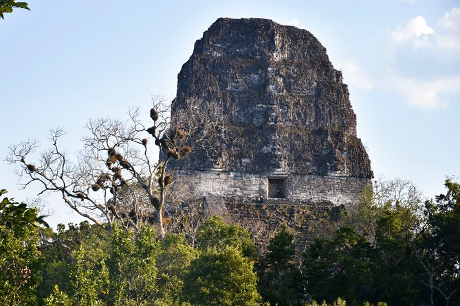 Tikal Full-Day Group Tour - Why this Tikal tour works well from Flores
