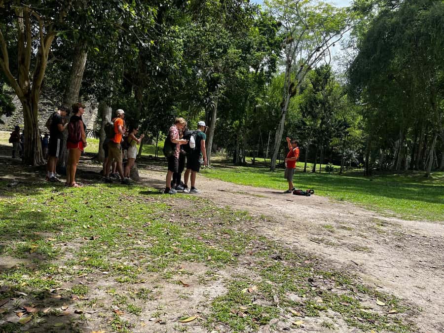 Tikal Group Tour from Flores - Three hours among Tikal’s pyramids and plazas