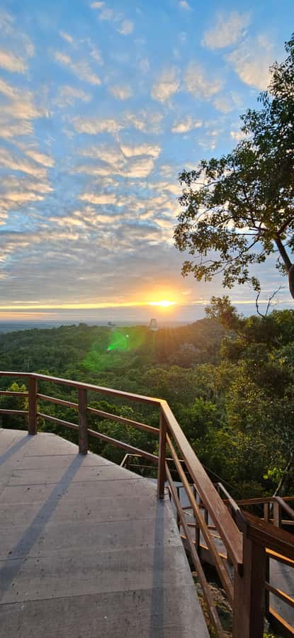 Tikal Group Tour Transportation, Guide plus Lunch - Tikal tour highlights at a glance