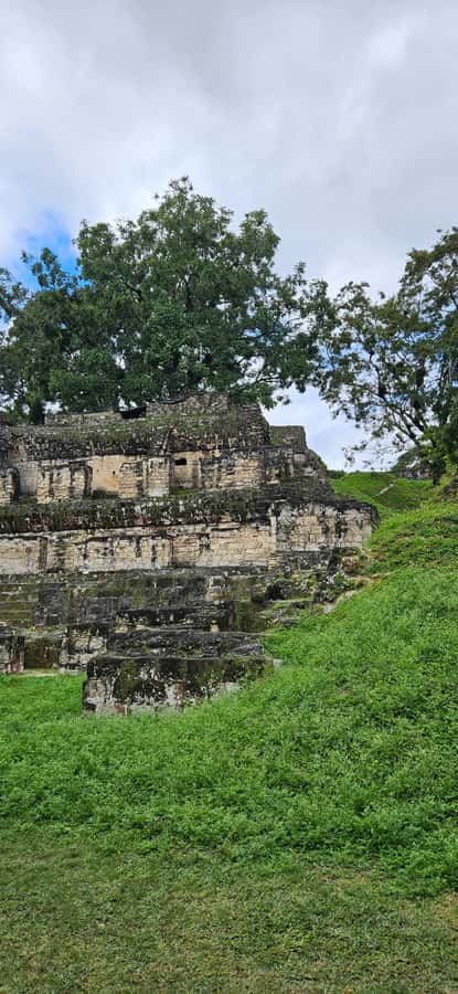 Tikal Group Tour Transportation, Guide plus Lunch - Entering Tikal and starting the three-hour walk