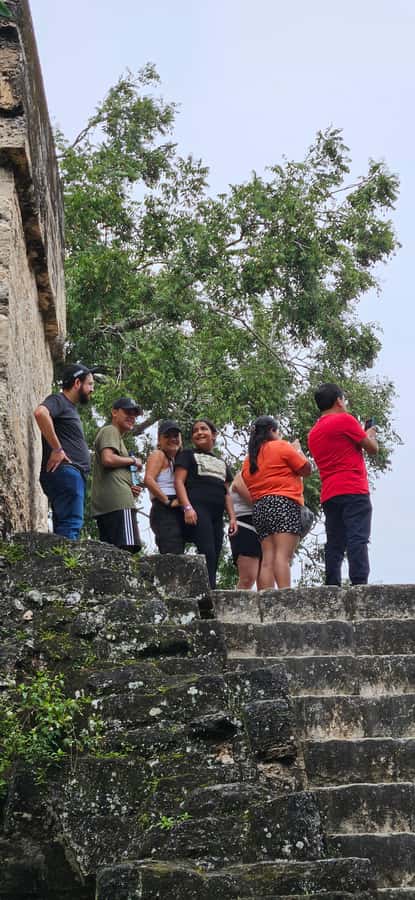 Tikal Group Tour Transportation, Guide plus Lunch - Getting from Flores to the forest