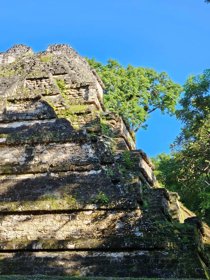 Tikal Guatemala desde Flores o Aeropuerto Mundo Maya - Why Tikal deserves a full day