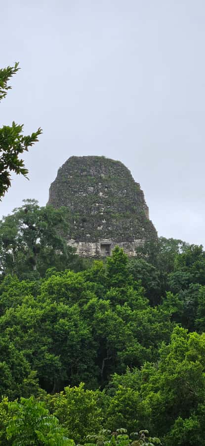 Tikal Guatemala desde Flores o Aeropuerto Mundo Maya - The road to Tikal and the 9:30 am arrival