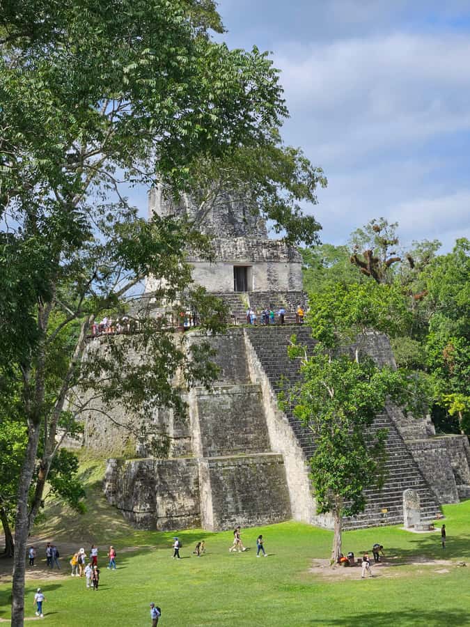 Tikal Guatemala desde Flores o Aeropuerto Mundo Maya - Lunch inside Tikal at 2 pm