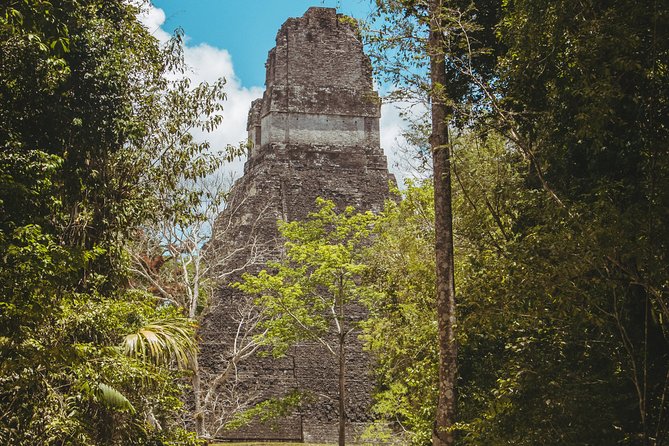 Tikal National Park Full-Day Guided Tour from Flores - The one-hour road from Flores