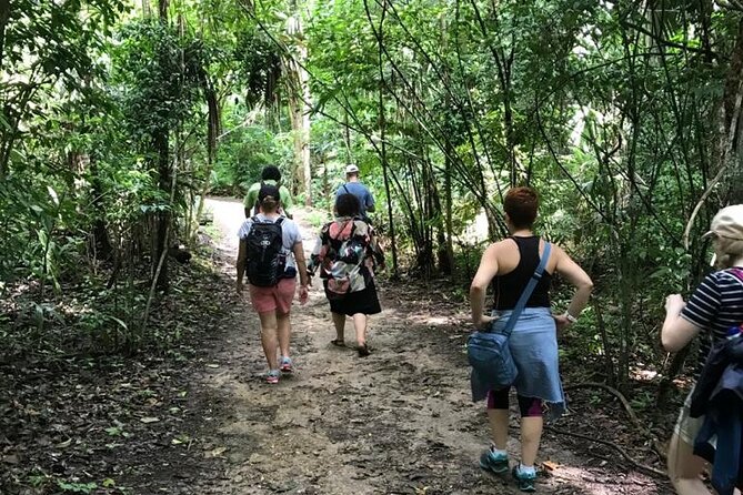 Tikal Private Day Tour Maya Adventure from Flores - Temple II and the classic Tikal photograph