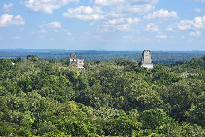 Tikal Private Tour from Flores Guatemala with Transportation - Key points to know before booking