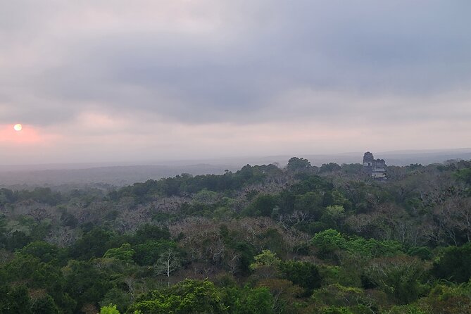 Tikal Private Tour from Flores Guatemala with Transportation - Looking for toucans, monkeys, and hidden animals