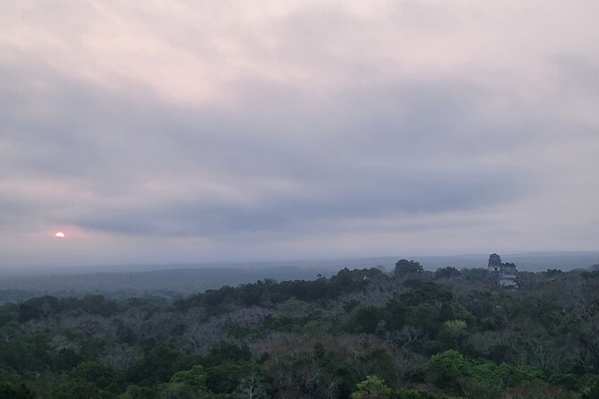 Tikal Private Tour from Flores Guatemala with Transportation - The value of guides Elmer and Kendel