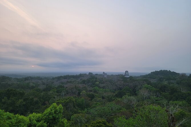Tikal Private Tour from Flores Guatemala with Transportation - What the private setup changes