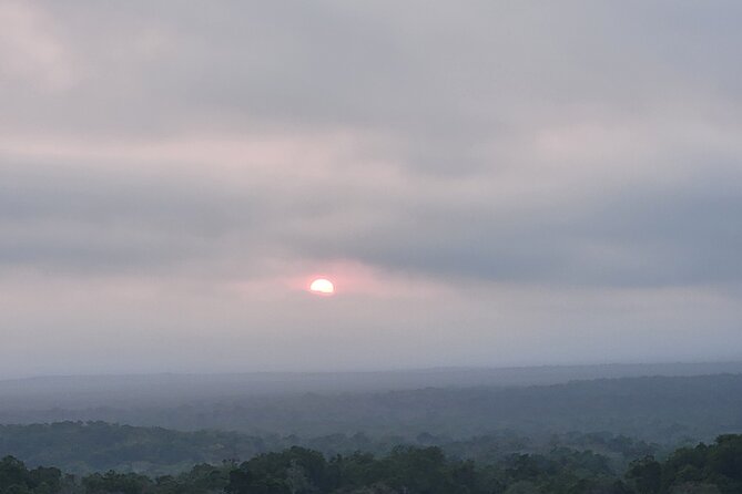 Tikal Private Tour from Flores Guatemala with Transportation - Understanding the $133 price