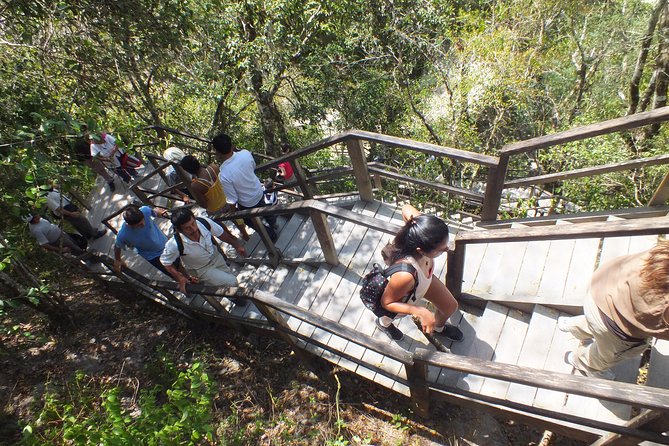 Tikal Ruins Day Tour from Flores - What the four-hour Tikal visit feels like