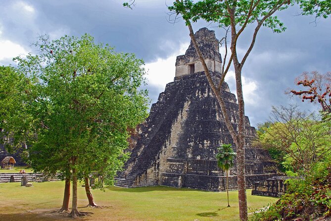 Tikal Ruins Day Tour from Flores - How this tour compares with going alone