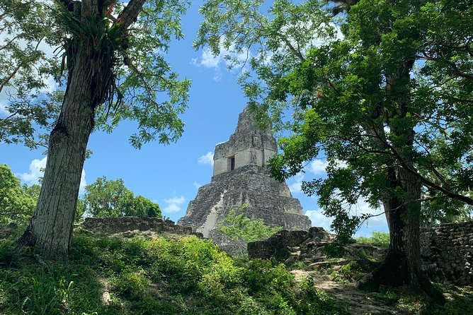 Tikal Shared Experience: Flight + One Day Tour from Antigua - The Flight to Flores and the Road to Tikal