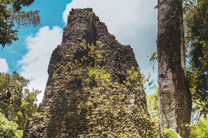 Tikal Small Group all Included From Flores - Lunch in the park, not an afterthought