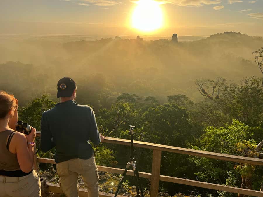 Tikal Sunrise, Archeological focus and Wildlife Spotting - The North Acropolis, where royal memory was built