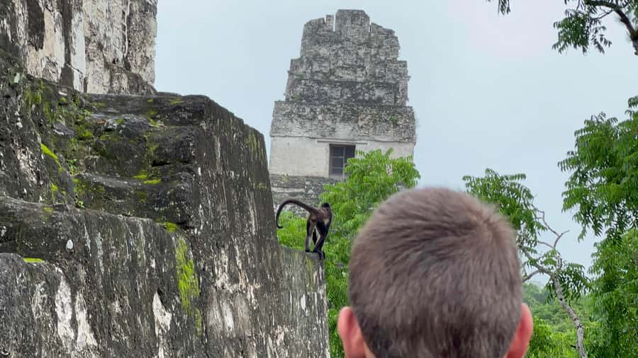 Tikal Sunrise, Archeological focus and Wildlife Spotting - Central Acropolis and the royal residential quarter