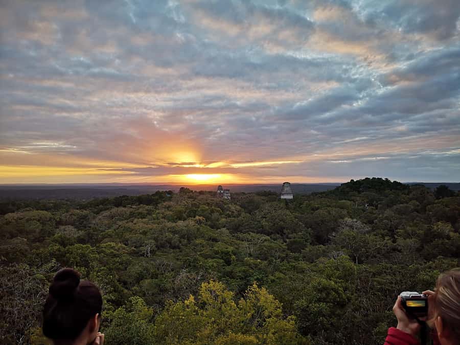 Tikal Sunrise, Archeological focus and Wildlife Spotting - Wildlife is part of the tour, not a side promise