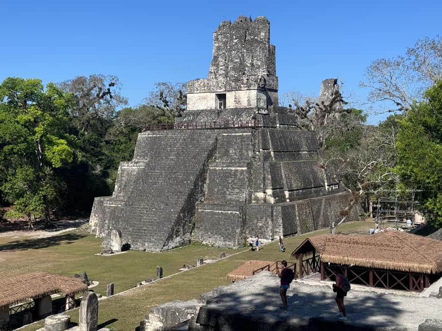 Tikal Sunset, Archeological focus and Wildlife Spotting - Key things to know before booking