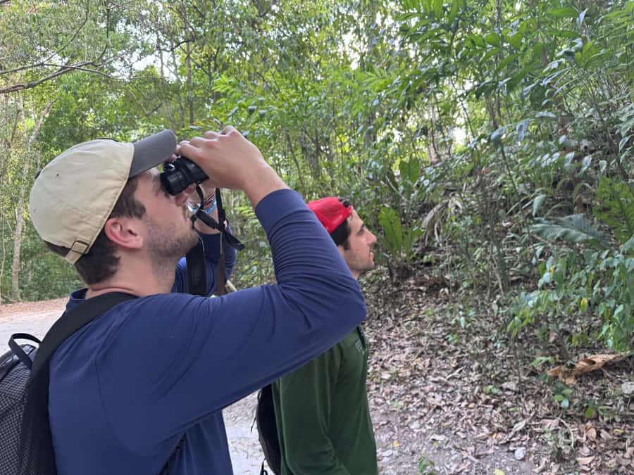Tikal Sunset, Archeological focus and Wildlife Spotting - Lunch at Jaguar Inn before the ruins