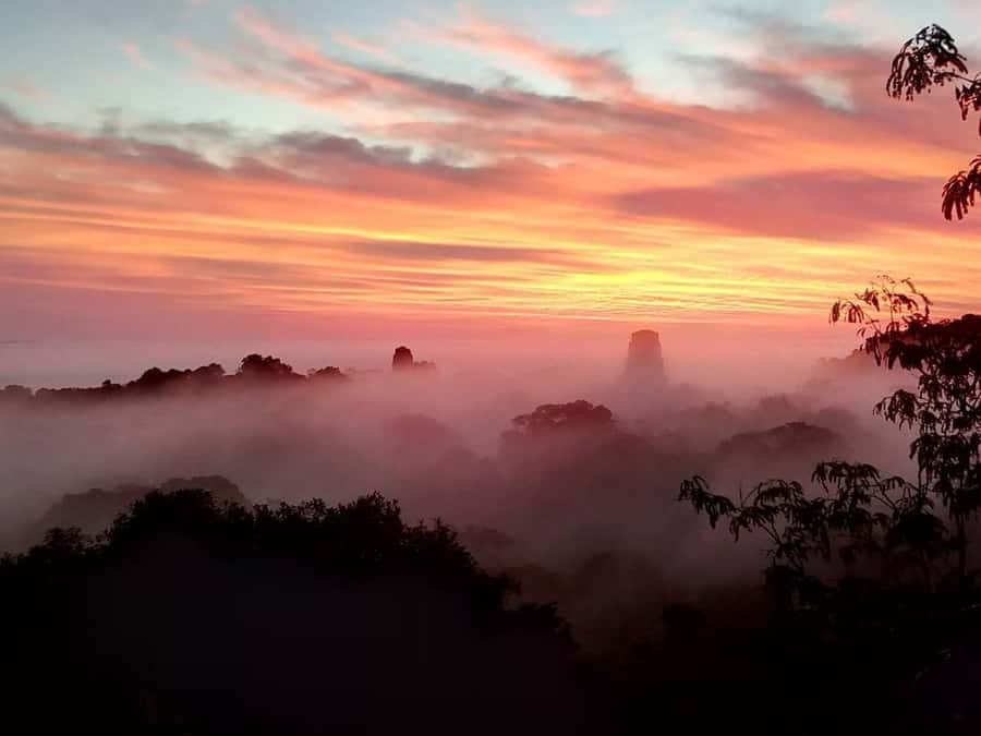 Tikal Sunset Experience: Archaeological Tour + Sunset Views - Four hours among temples, plazas, and jungle