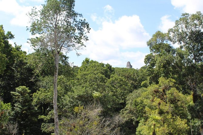 Tikal VIP Exclusive All Inclusive Tour from Belize Border - The private van ride to Tikal