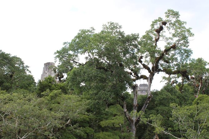 Tikal VIP Exclusive Tour All inclusive from Flores Guatemala - The early pickup from Flores or the airport