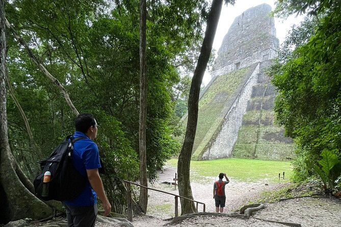 Tikal Vip Private Tour from Flores Guatemala with transportation - What the guide adds to the ruins