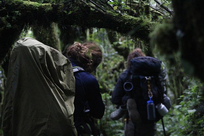 Toliman Volcano Hike - Key points before you book