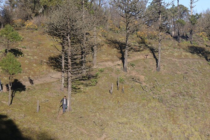 Toliman Volcano Hike - Who should choose Toliman?