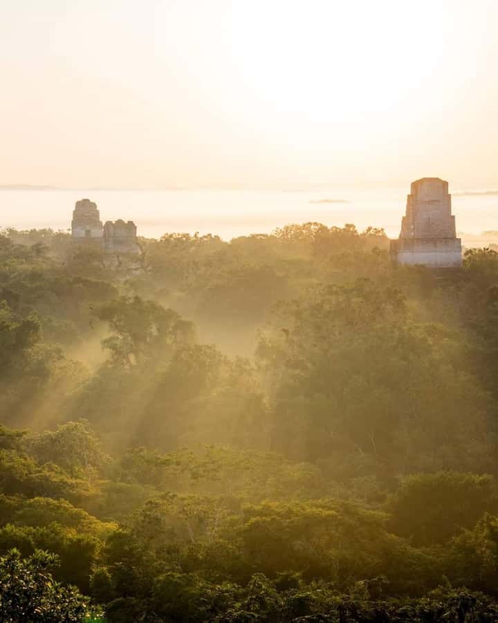 Tour and transportation with tour guide to Tikal. - The bus ride from Flores to the park