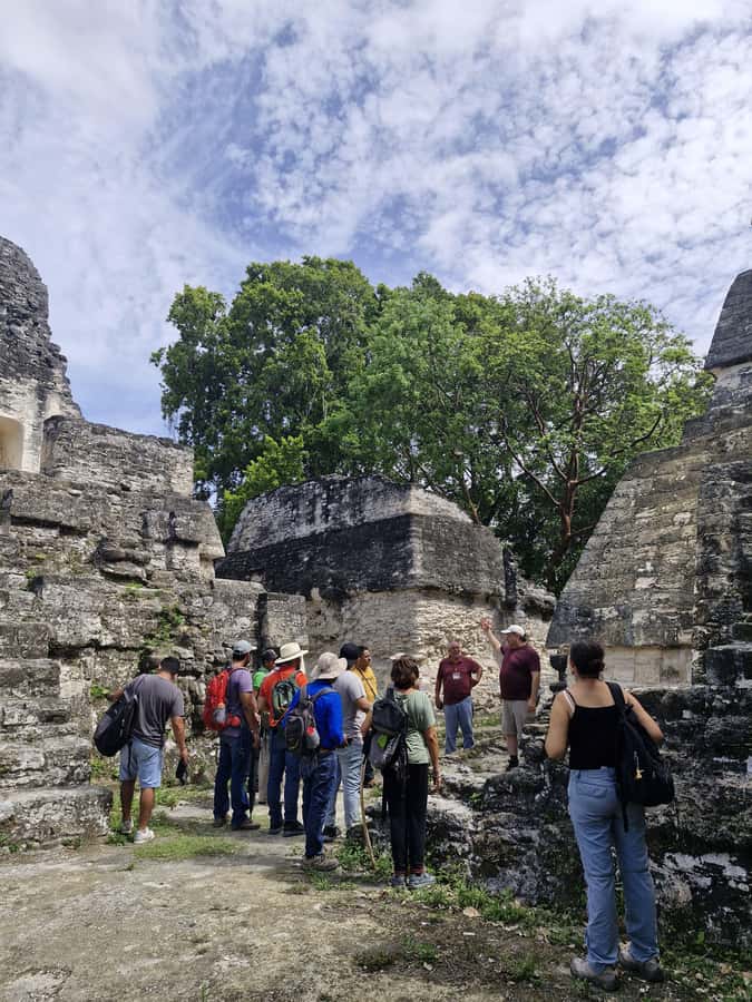 Tour and transportation with tour guide to Tikal. - The walking demands are real