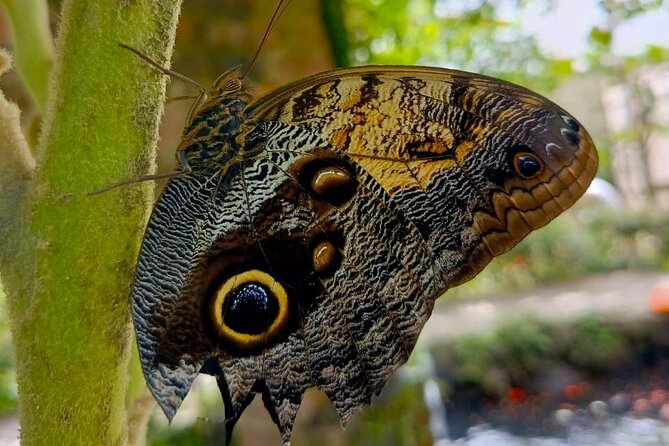 Tour in the Atitlan Nature Reserve - Is the $40 Tour Price Good Value?