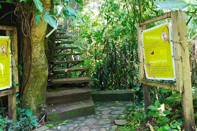 Tour in the Atitlan Nature Reserve - Who Will Enjoy This Outing Most?