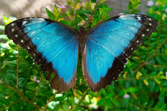 Tour in the Atitlan Nature Reserve - Booking, Cancellation, and Practical Details