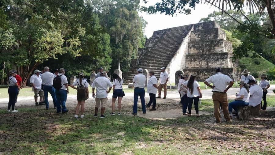 Tour to Tikal: from Mundo Maya Airport in Flores - Four hours among Tikal’s major monuments