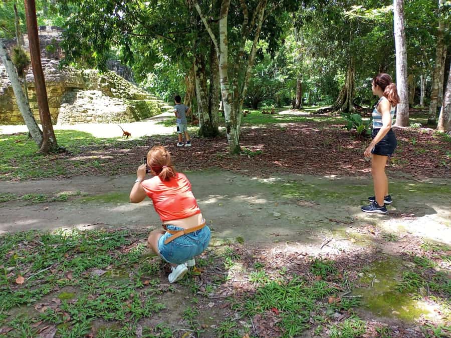 Tour to Tikal: from Mundo Maya Airport in Flores - Temple 5 and the final route through the park
