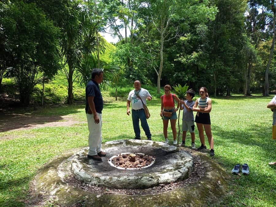 Tour to Tikal: from Mundo Maya Airport in Flores - Meeting at the one cafeteria by arrivals