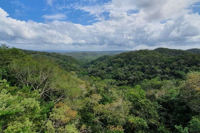 Visit Ixpanpajul: Jungle, Trekking, Hanging Bridges & Canopy - Tour from Flores - Seven Zip Lines Above the Trees
