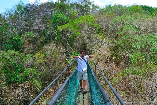 Visit Ixpanpajul: Jungle, Trekking, Hanging Bridges & Canopy - Tour from Flores - Booking, Cancellation, and Practical Details