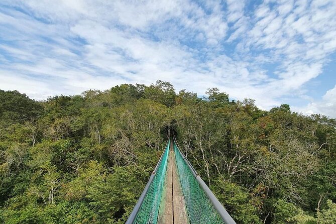 Visit Ixpanpajul: Jungle, Trekking, Hanging Bridges & Canopy - Tour from Flores - Walking the 450-Hectare Jungle Park