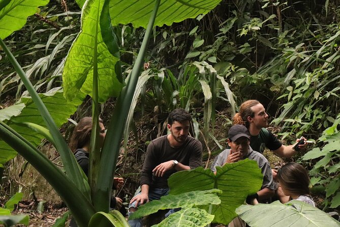 Waterfall Hike - Key points at a glance