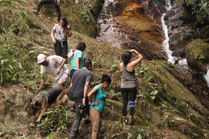 Waterfall Hike - Reaching the cascading waterfall